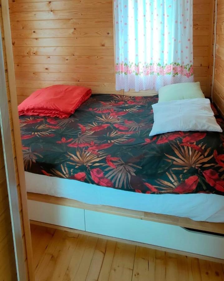 Rodzinna Przystan * Miedzylesie (Silesia)